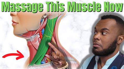 Eustachian tube massage - Wadaef DE