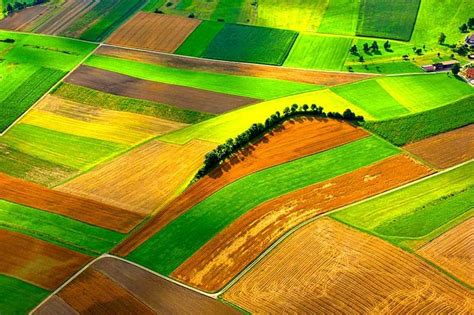 Lebensmittelbiotechnologie: Auf dem Weg zu einer gesünderen und nachhaltigeren Landwirtschaft