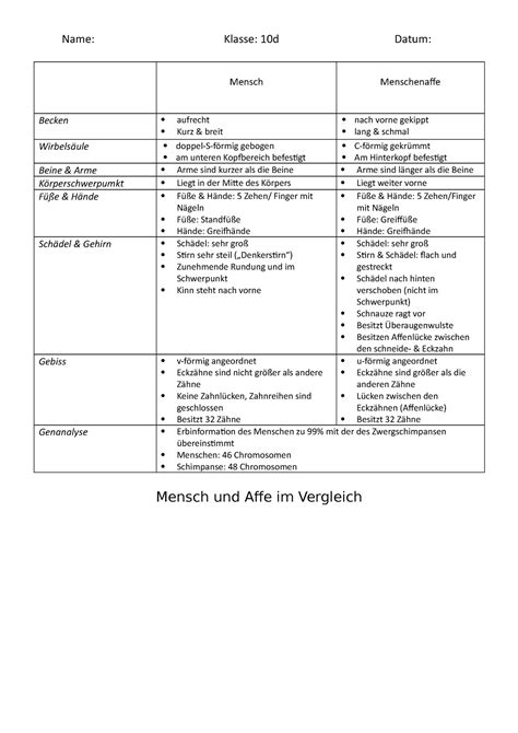 Lucy Vergleich Zwischen Menschenaffe Mensch