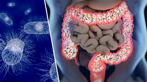 Was Sind Die Symptome Einer Infektion