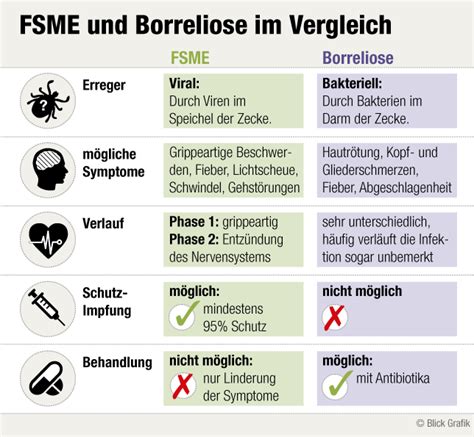 Was Sind Die Symptome Von Fsme