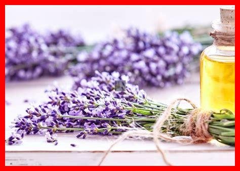 Was sind die besten Tipps für ein Wellness-Wochenende in Baden-Baden?