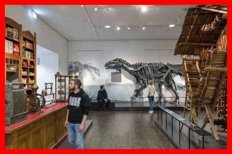 Welche Museen sind in Bremen einen Besuch wert?