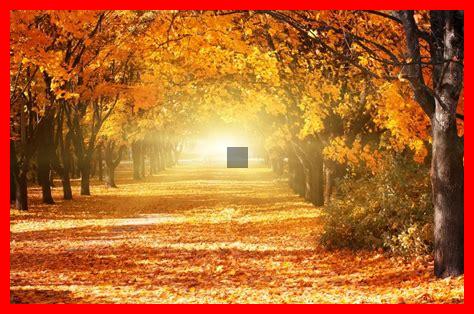 Die besten Ferienwohnungen für einen Herbsturlaub