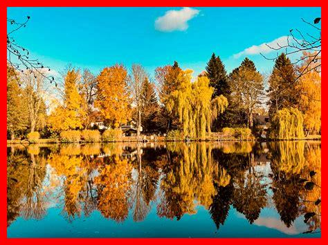 Wie entdecke ich die Schönheit des Herbstes auf Reisen?