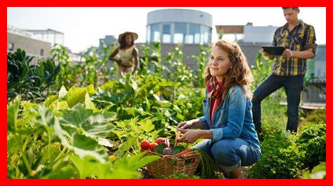 Wie finde ich Männer beim Urban Gardening?