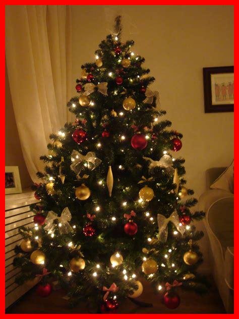 Wie finde ich den idealen Weihnachtsbaum?