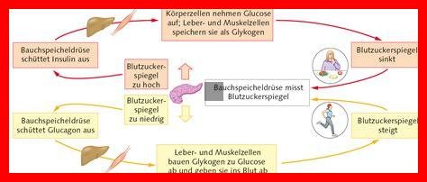 Wie sieht ein insulinfaires Leben aus