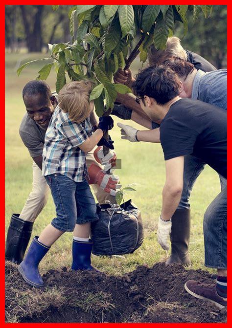 Wie können Gemeinschaften im Herbst zusammenarbeiten, um den Klimawandel zu bekämpfen?