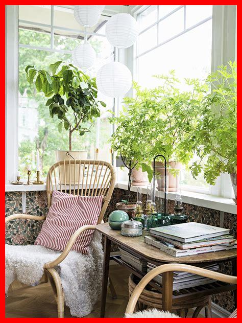 Sind Pflanzen für den Innenbereich ein Zeichen von Lifestyle?