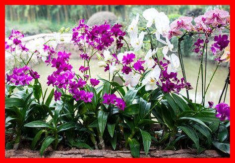 Wie finden Sie die neuesten Zimmerpflanzen-Trends?