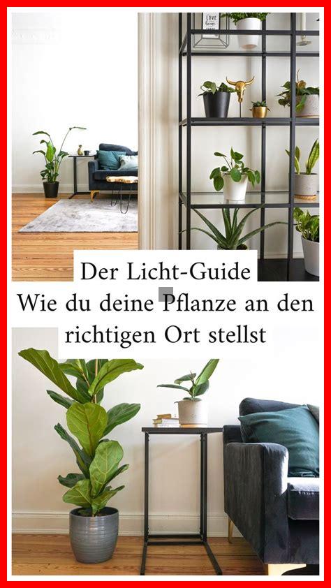 Wie integriert man Pflanzen in die Innendekoration?