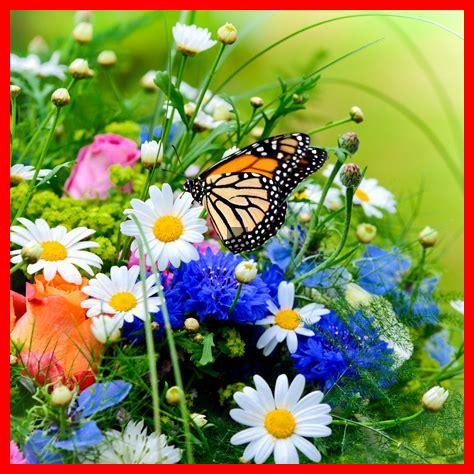 Wie kann ich den Frühling durch Farben in meinen Garten bringen?