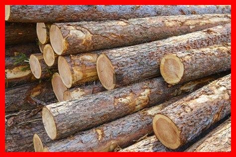 Wie kann man rohes Holz geschmackvoll integrieren?