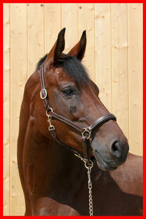 Kann Schönheit einfach sein?