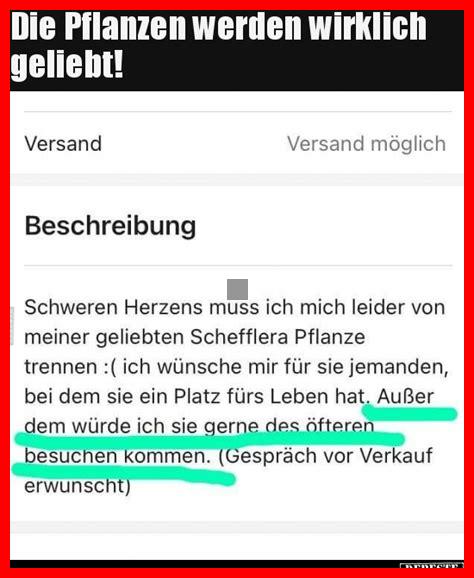 Könnte das Pflanzen von Grünzeug eine neue Leidenschaft werden?