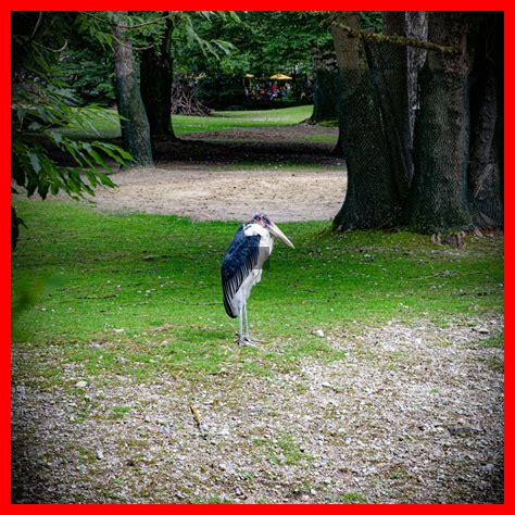 Was sind die Trends in der visuellen Kommunikation für Marketer?